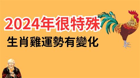 屬雞的顏色|雞年開運色：2024年必備指南